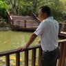 Фото профиля Lingwei