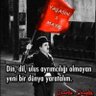 Şerif Mehemet's profile picture