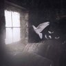من كوكب تاني profil fotoğrafı