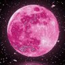 百鬼夜行's profile picture