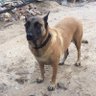 Parksy profil fotoğrafı