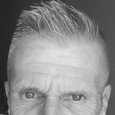 Nico van Gog's profile picture