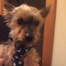 Фото профиля Papi y Pipo