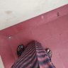 kumas's profile picture