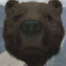 Profilbild von Truth hurts