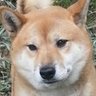 è¿·ç¬ã¡ã's profile picture
