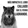 Elena y olé💃 profil fotoğrafı