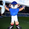 William Elder's profile picture