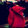 Soso profil fotoğrafı