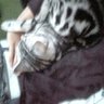 Profilbild von popopo3434