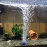 虎太(とらた) 的头像