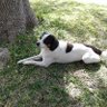 Susan profil fotoğrafı