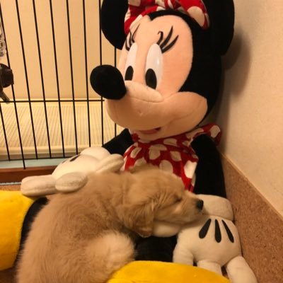 maru20316's profile picture