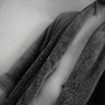 Profilbild von eastcoasttrannyfan