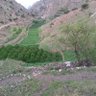 ابو علي البشيري 的头像
