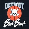 Detroit Sports Fan's profile picture
