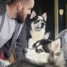DatSarrow's profile picture