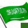 Profilbild von محمد المالكي