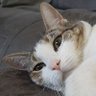 GoodShot profil fotoğrafı