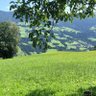 Austria 💕 profil fotoğrafı