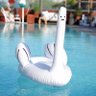 Bรฉ Dawn The Swan ๐ฆข๐ป#TMC ๐'s profile picture