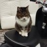 Profilbild von くざん