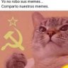 Not Mee's profile picture