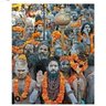 Sudesh Kumar's profile picture