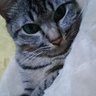 ゆずママ's profile picture