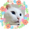 ナタデココ 的头像