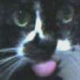 もふち's profile picture