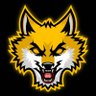 Profilbild von CSGOHowl