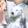 ticco's profile picture