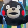 bear-のぽきち profil fotoğrafı