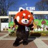 長野市茶臼山動物園【公式】 的头像