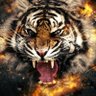 Ali Raza's profile picture