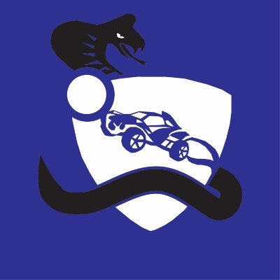 BasiliskRl's profile picture