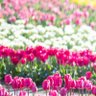 Фото профиля mmmatl