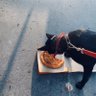 Фото профиля james brooklyn