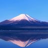 毎年です/MAIDO/一寸先は未来/ 的头像