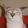 Terry Bahm's profile picture