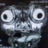 David_Davy_Dave's profile picture