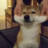 ๐ค๐'s profile picture