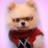 Profilbild von Zeuo