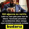 Yavuz 的头像