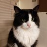 KUKURU profil fotoğrafı
