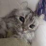 Profilbild von まっこり