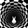 Curious Rabbit profil fotoğrafı