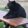 Profilbild von BiNode