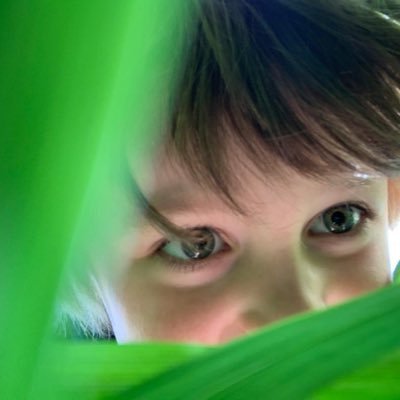 BenjaminFallow's profile picture